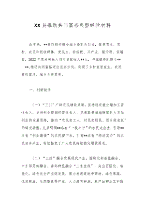 XX县推动共同富裕典型经验材料.docx