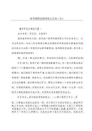 春节团拜会领导发言大全（五）.docx