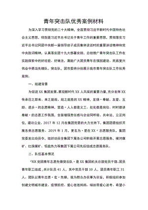 青年突击队优秀案例材料.docx