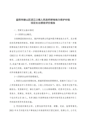 益阳市赫山区泥江口镇人民政府耕地地力保护补贴项目支出绩效评价报告.docx