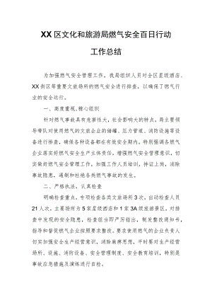 XX区文化和旅游局燃气安全百日行动工作总结.docx