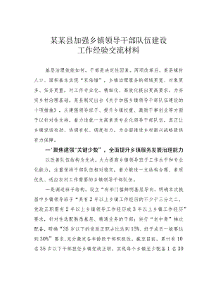 某某县加强乡镇领导干部队伍建设工作经验交流材料.docx