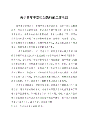 关于青年干部担当先行的工作总结.docx