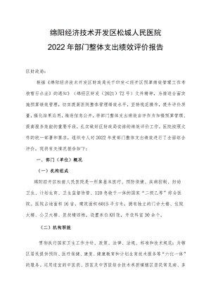 绵阳经济技术开发区松垭人民医院2022年部门整体支出绩效评价报告.docx