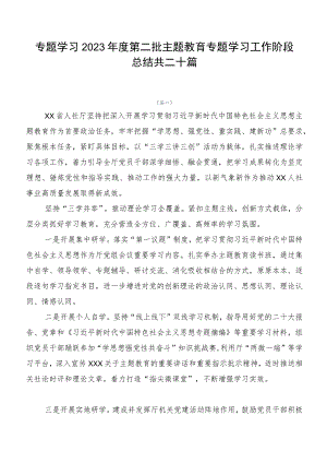 专题学习2023年度第二批主题教育专题学习工作阶段总结共二十篇.docx