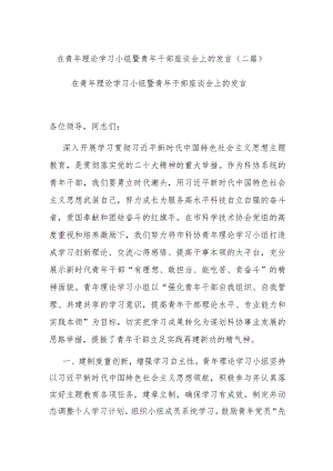 在青年理论学习小组暨青年干部座谈会上的发言(二篇).docx