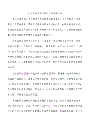 企业营销管理市场定位与品牌策略.docx