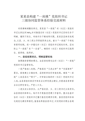 某某县构建“一肩挑”党组织书记三级协同监管体系经验交流材料.docx