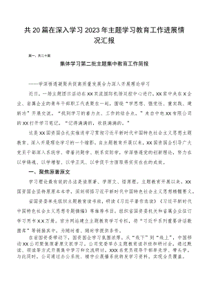 共20篇在深入学习2023年主题学习教育工作进展情况汇报.docx