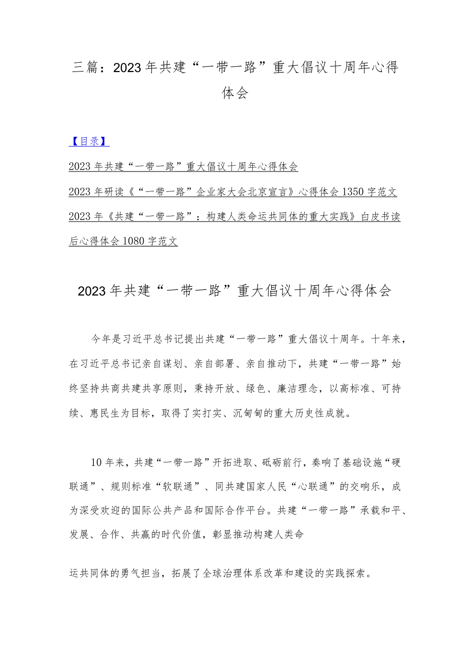 三篇：2023年共建“一带一路”重大倡议十周年心得体会.docx_第1页