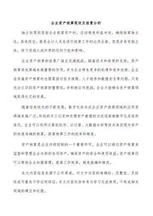 企业资产核算现状及前景分析.docx