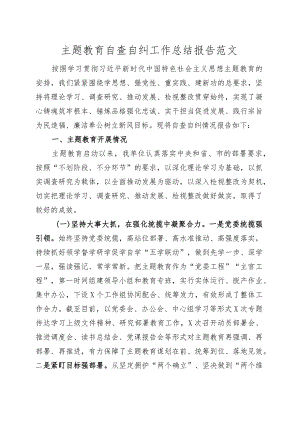 第二批主题教育自查自纠工作报告问题总结汇报20231018.docx