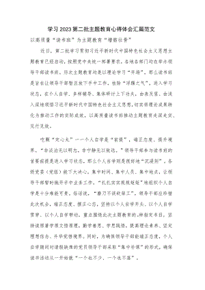 学习2023第二批主题教育心得体会汇篇范文.docx