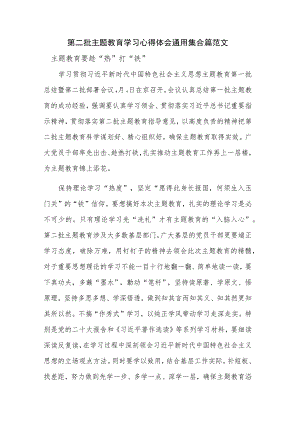 第二批主题教育学习心得体会通用集合篇范文.docx