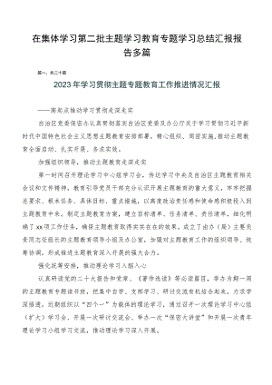 在集体学习第二批主题学习教育专题学习总结汇报报告多篇.docx