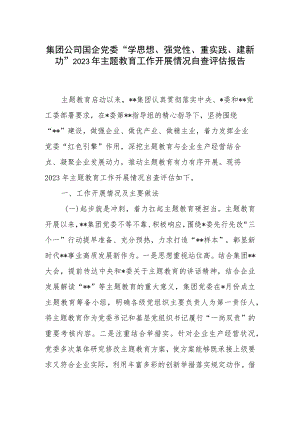 集团公司国企党委“学思想、强党性、重实践、建新功”2023年主题教育工作开展情况自查评估报告.docx