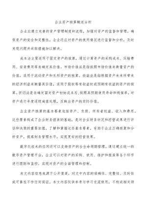 企业资产核算概述分析.docx