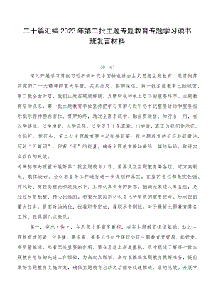 二十篇汇编2023年第二批主题专题教育专题学习读书班发言材料.docx