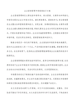 企业营销管理市场营销执行方案.docx