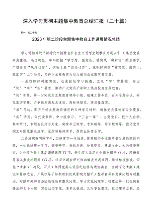 深入学习贯彻主题集中教育总结汇报（二十篇）.docx