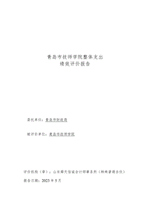 青岛市技师学院整体支出绩效评价报告.docx