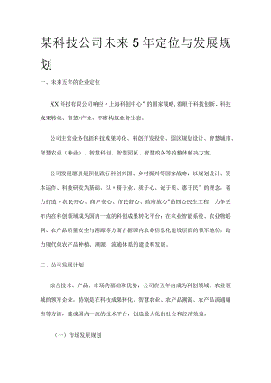 某科技公司未来5年定位与发展规划.docx