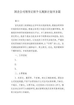 国企公司领导正职个人履新计划书3篇.docx