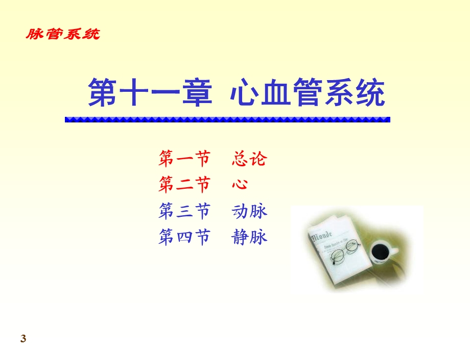 8心血管系统06.ppt_第3页