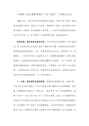 开展第二批主题教育践行“四下基层”心得体会发言.docx