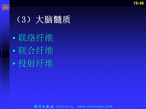 第13章神经系统2t.ppt