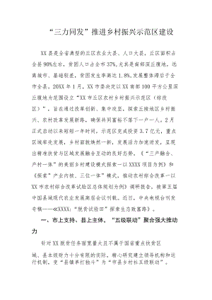 “三力同发”推进乡村振兴示范区建设.docx