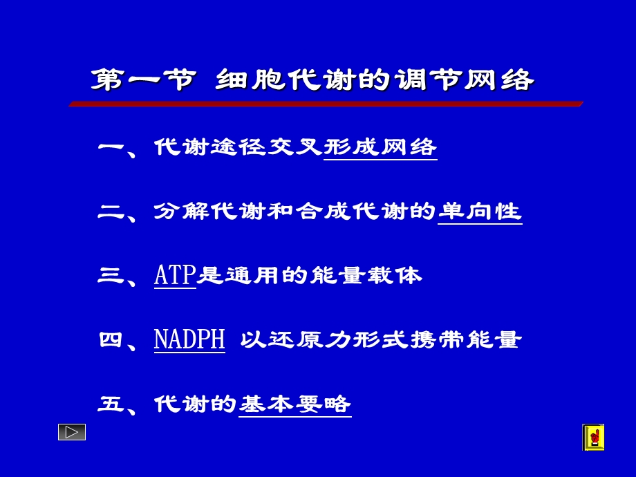 第13章物质代谢的联系及其调控.ppt_第2页