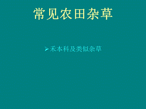 常见农田杂草图鉴.ppt