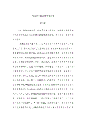 (2篇)有关第二批主题教育发言.docx