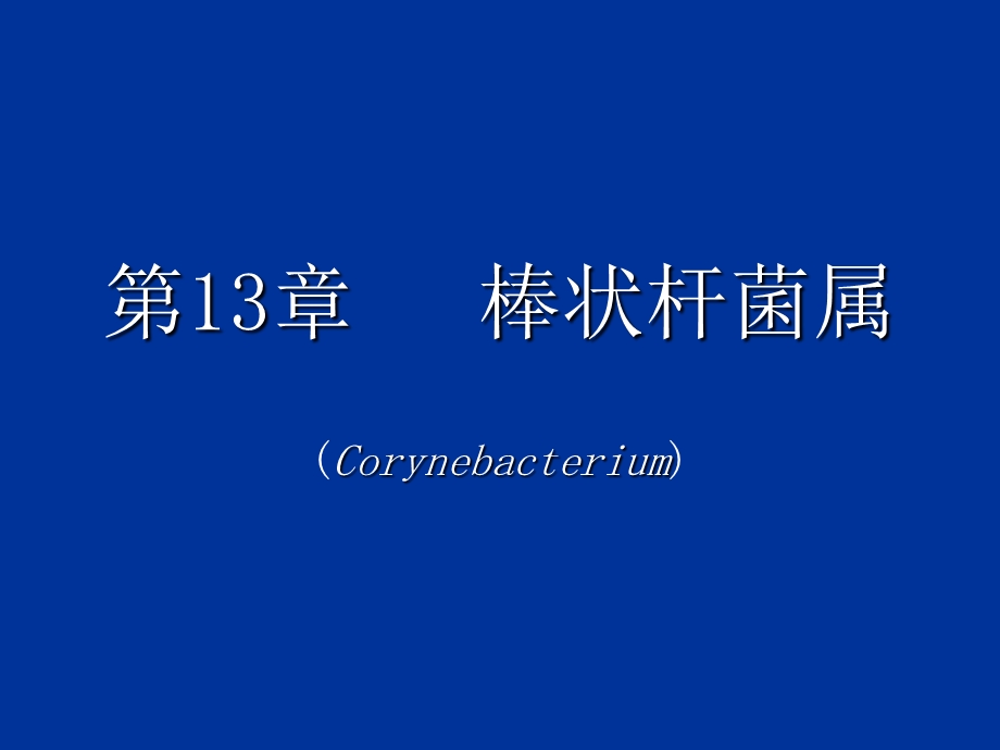 第13章棒状杆菌属名师编辑PPT课件.ppt_第1页