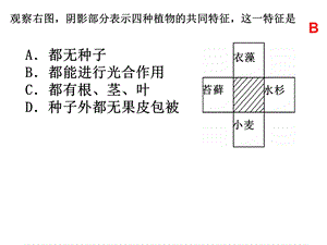 6.1.2从种到界.ppt