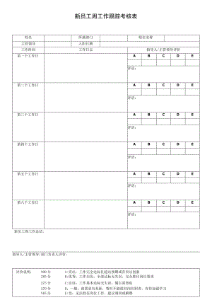 新员工工作跟踪考核表4.docx