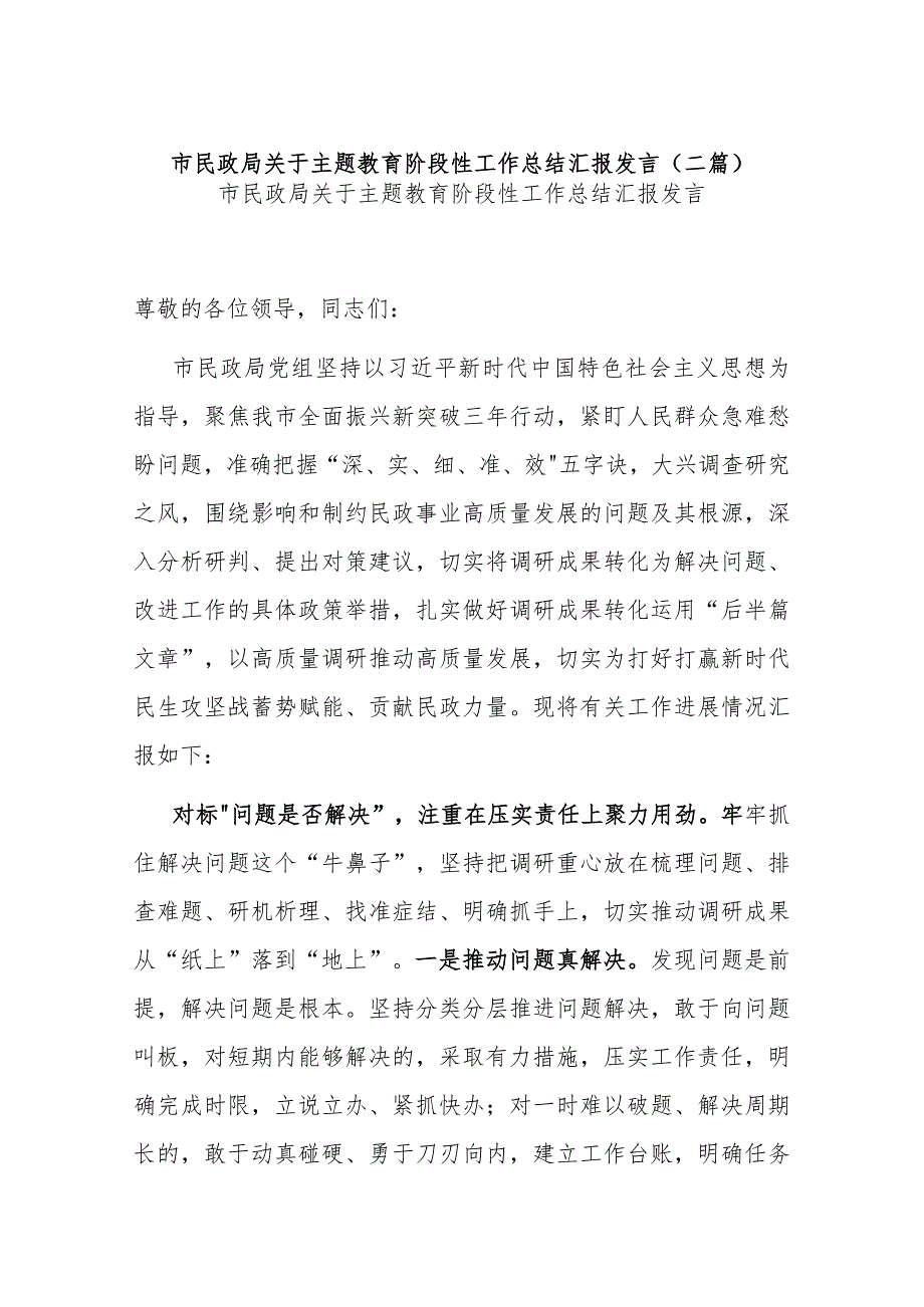 市民政局关于主题教育阶段性工作总结汇报发言(二篇).docx_第1页