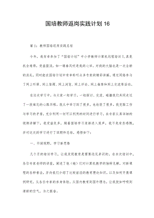 国培教师返岗实践计划16.docx