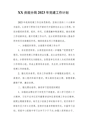 XX资规分局2023年党建工作计划.docx