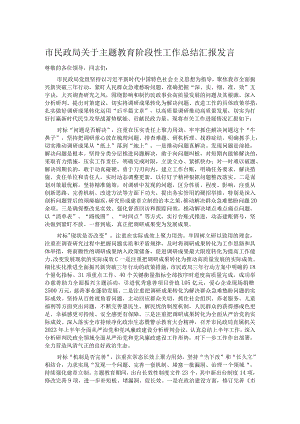 市民政局关于主题教育阶段性工作总结汇报发言.docx