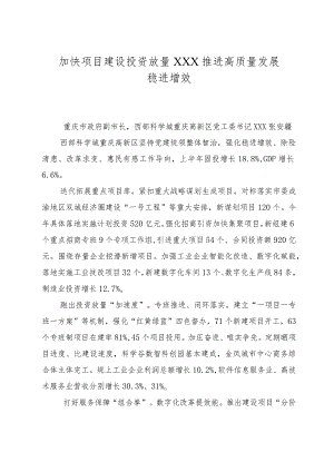 加快项目建设投资放量 推动高质量发展稳进增效.docx