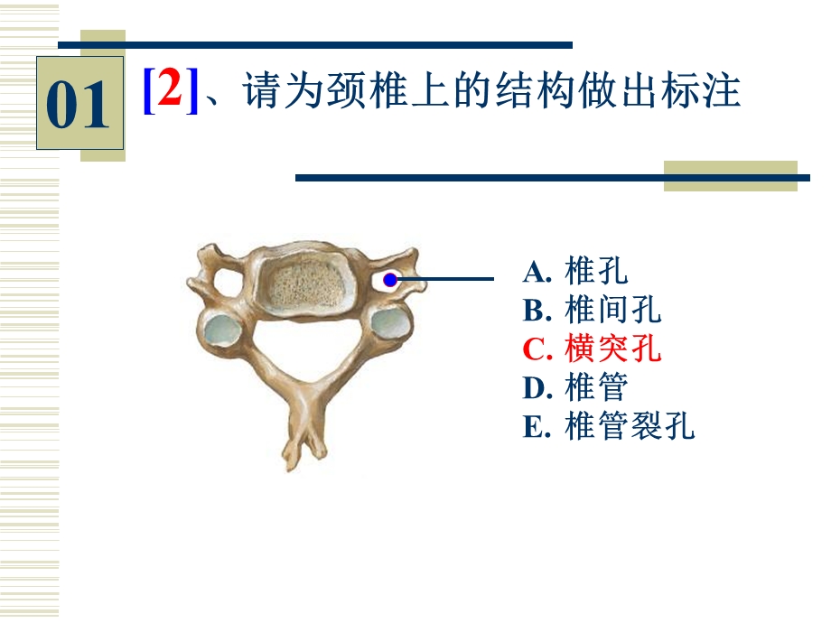 96学时实验考试有答案金联洲.ppt_第3页