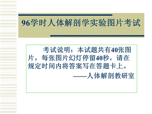 96学时实验考试有答案金联洲.ppt