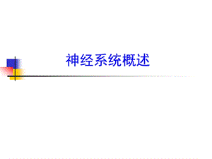 9中枢神经系统.ppt