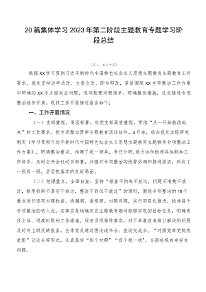 20篇集体学习2023年第二阶段主题教育专题学习阶段总结.docx