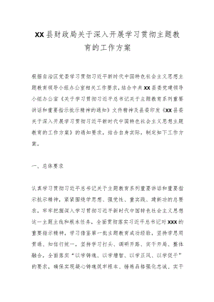 XX县财政局关于深入开展学习贯彻主题教育的工作方案.docx