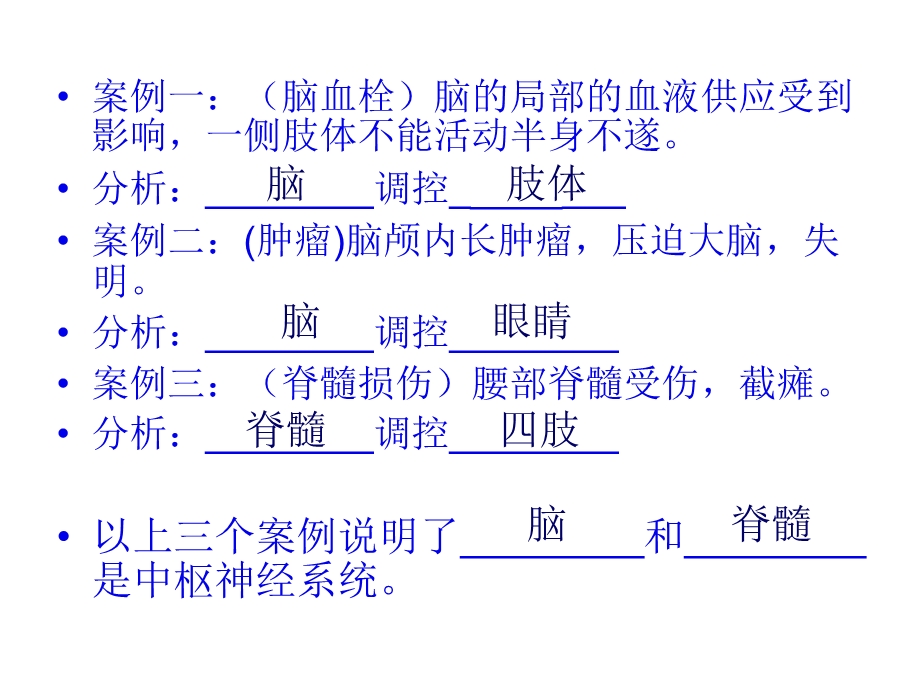 6.2神经系统的组成.ppt_第2页