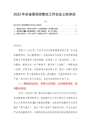 2023年在省委巡视整改工作会议上的讲话.docx