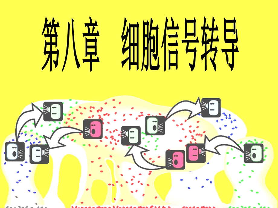 8细胞信号转导66.ppt_第1页